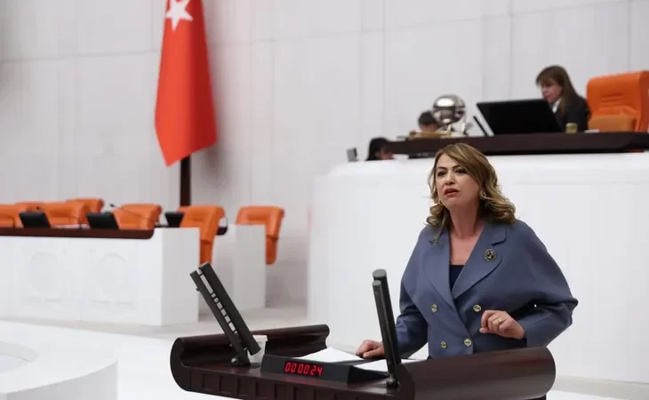 YILDIRIM KARA: VETERİNER HEKİMLERİN EŞİTLİK TALEBİ GÖRMEZDEN GELİNİYOR