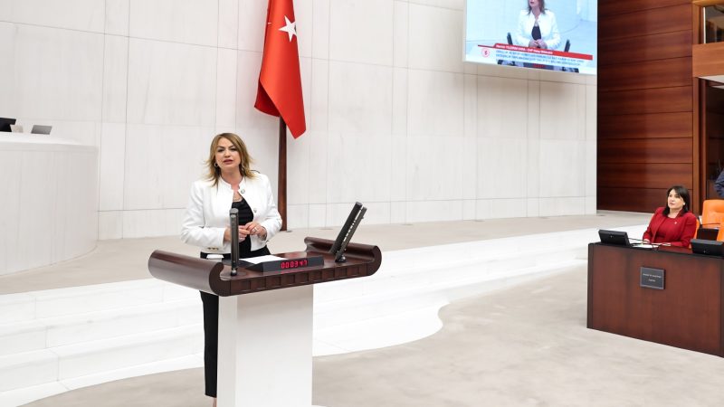 YILDIRIM KARA: ”ÇİFTÇİLERİMİZE YARDIM EDİLİRKEN ŞART ARANMAMALIDIR”