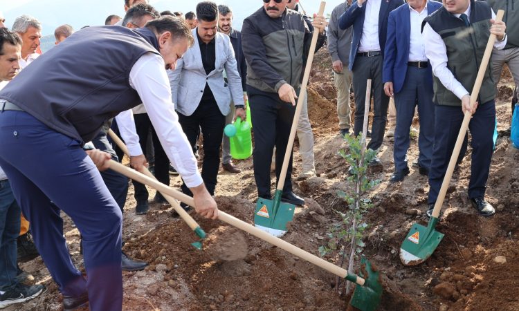 Arsuz’da Deprem Şehitleri Hatıra Ormanına Fidan Dikimi Gerçekleştirildi