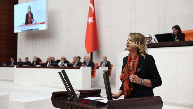 YILDIRIM KARA: ŞİRKETE GÖRE KENDİSİNDEN BAŞKA HERKES SUÇLU